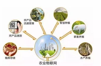 鄉村規劃設計丨中國農業十大戰略布局 風口、獨角獸與投資熱點深度解析